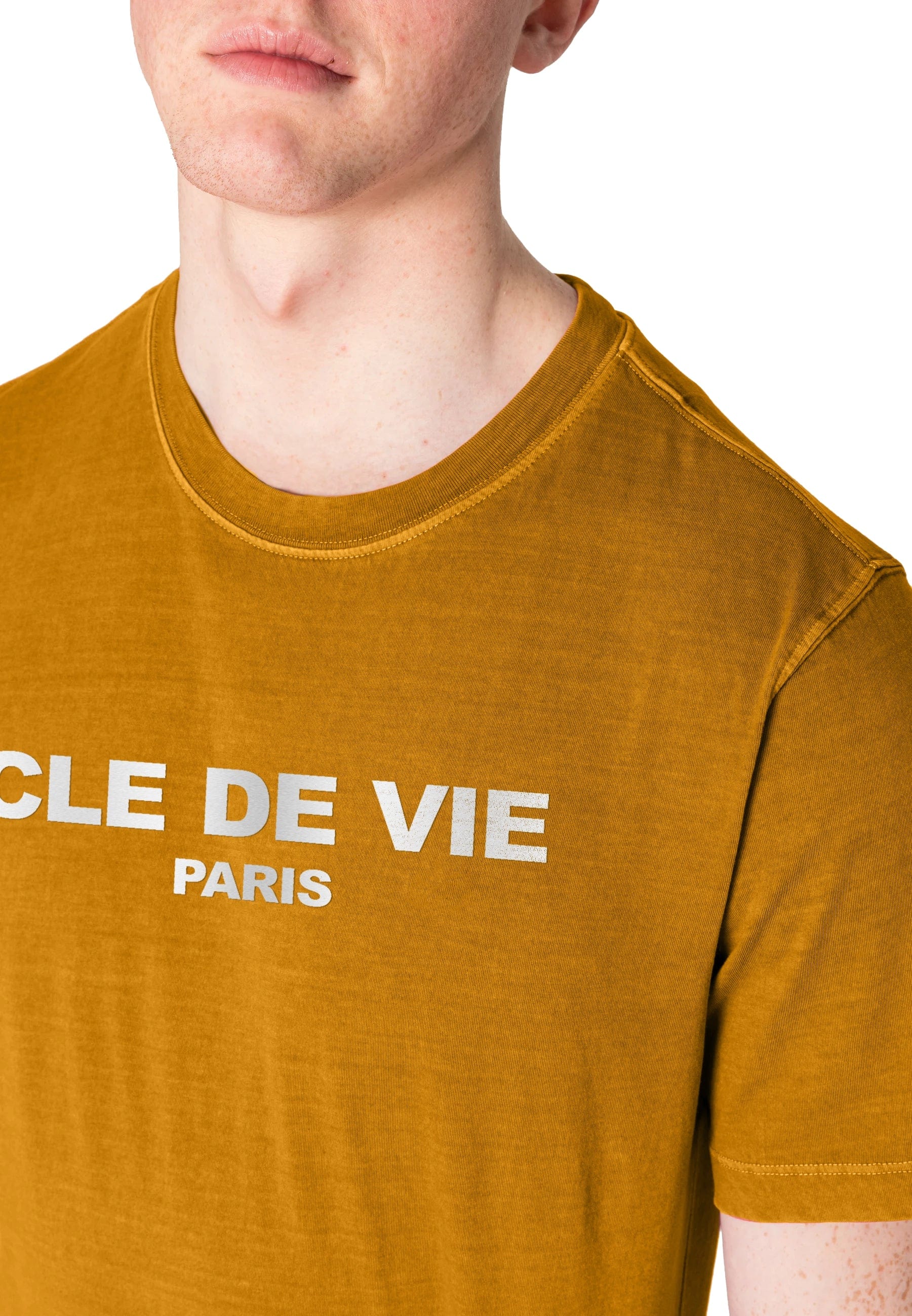 Camiseta Regular Stoned - Bicolor