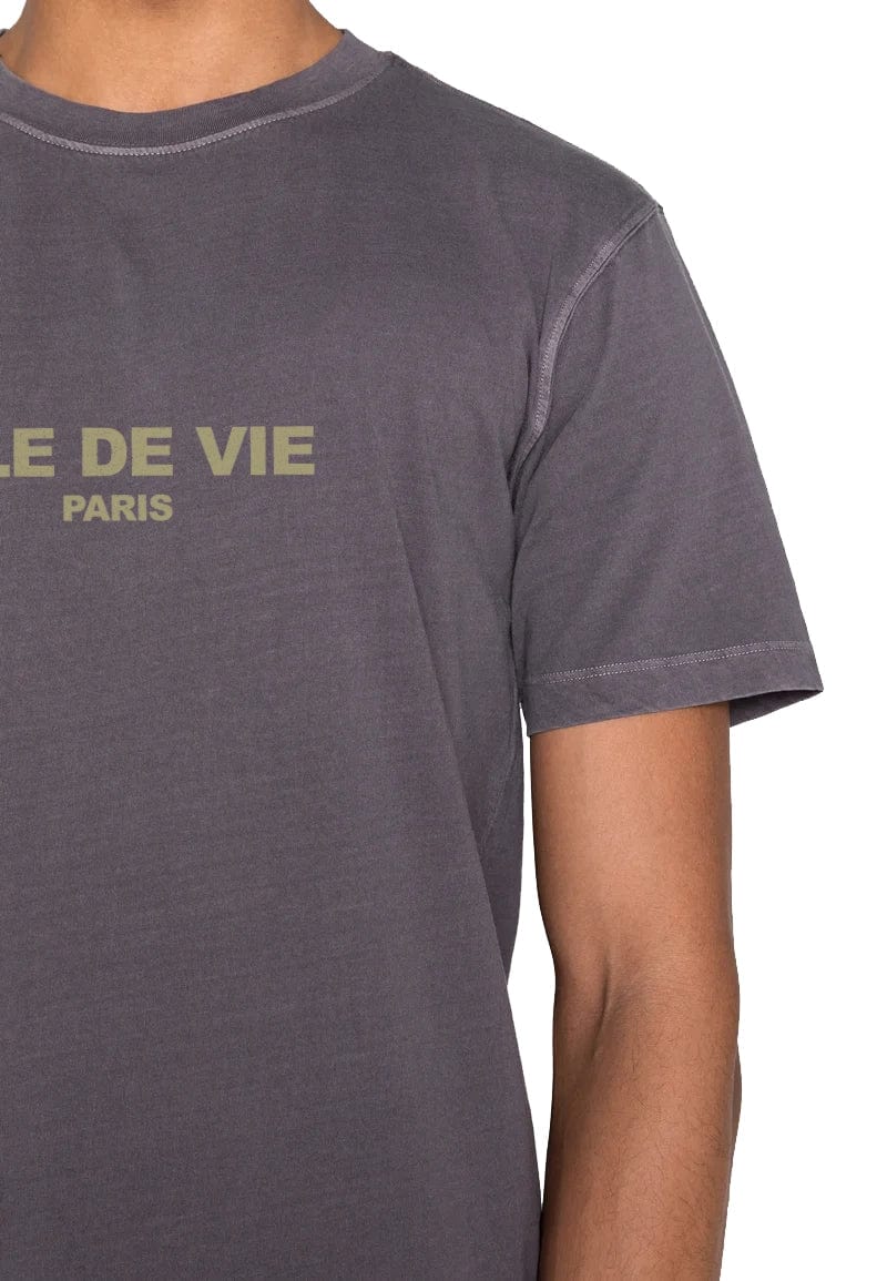 Camiseta Regular Stoned - Bicolor