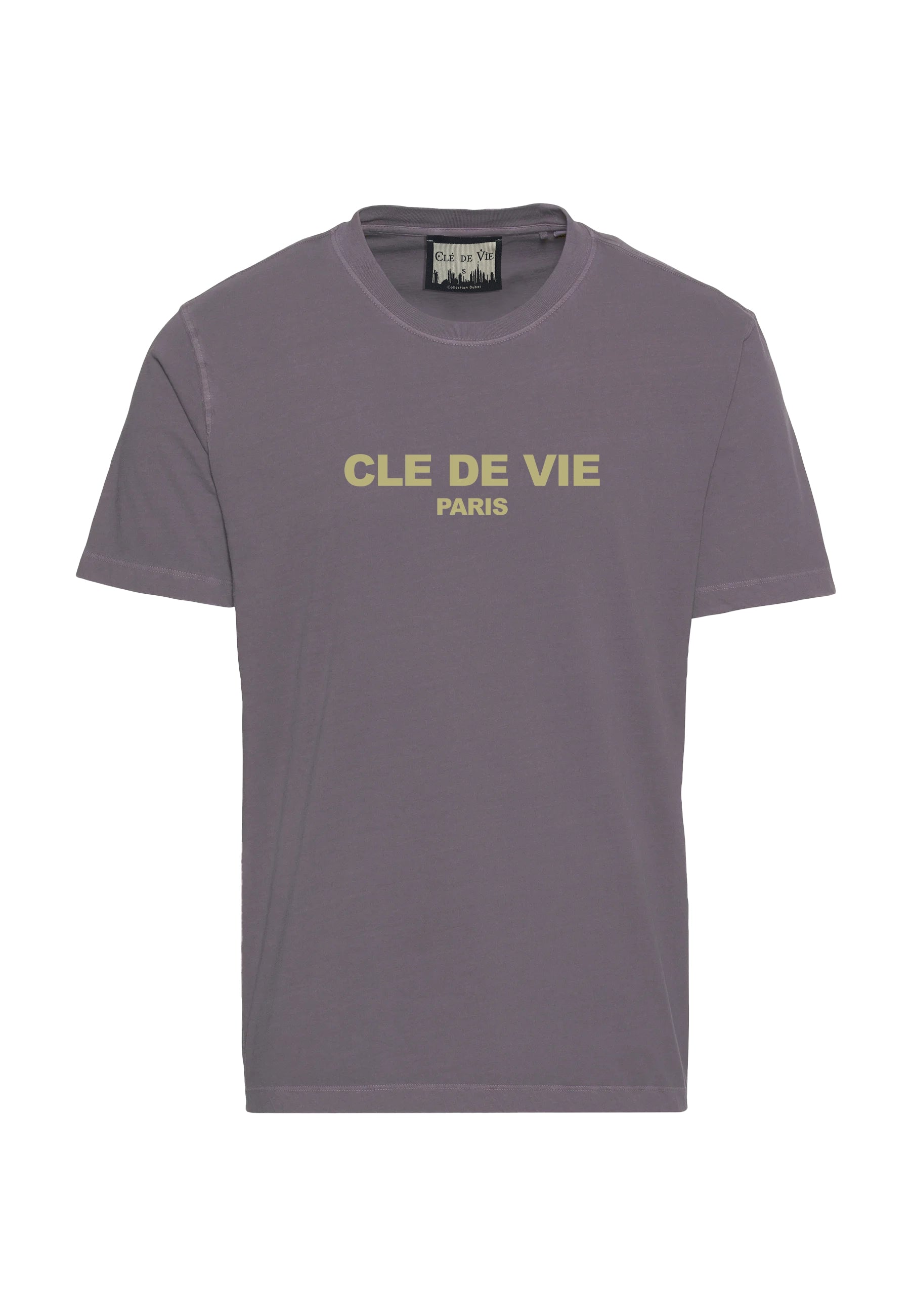 Camiseta Regular Stoned - Bicolor